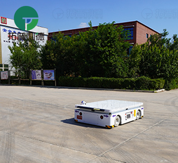 1 Ton Steerable AGV for Production Line